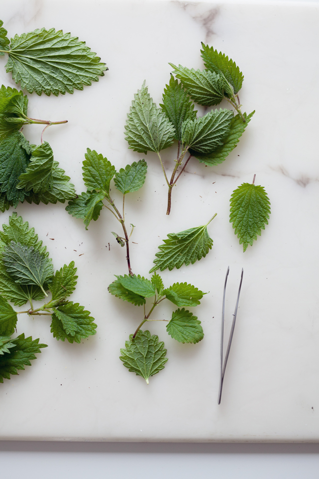 Stinging nettles | Cannelle et vanille