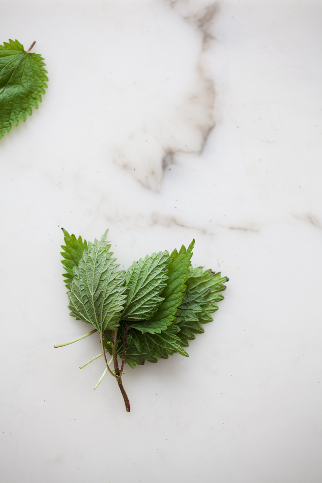 Stinging nettles | Cannelle et Vanille