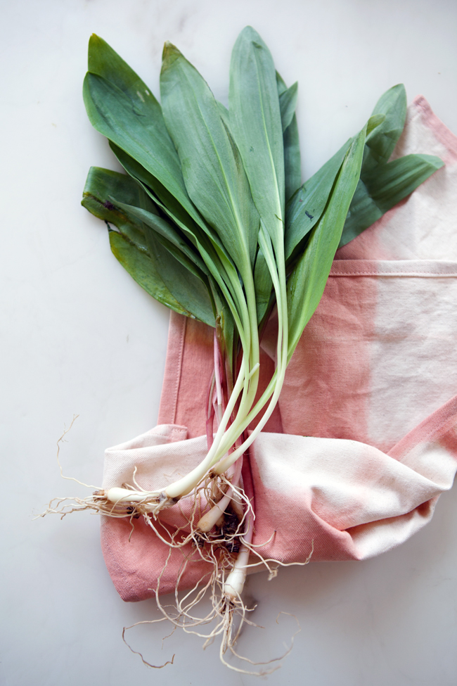 Plant-dyed textile workshop with Wildcraft Studios | Seattle, Aug 2 Photo by Aran Goyoaga