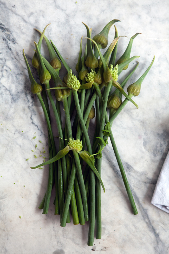 Garlic scapes | Cannelle et Vanille