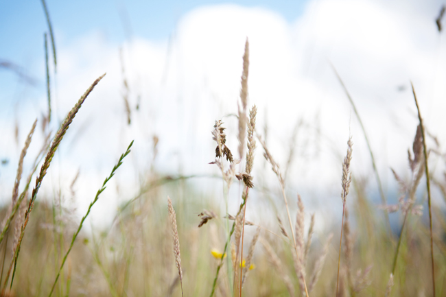 Summer in the Basque Country | Cannelle et Vanille