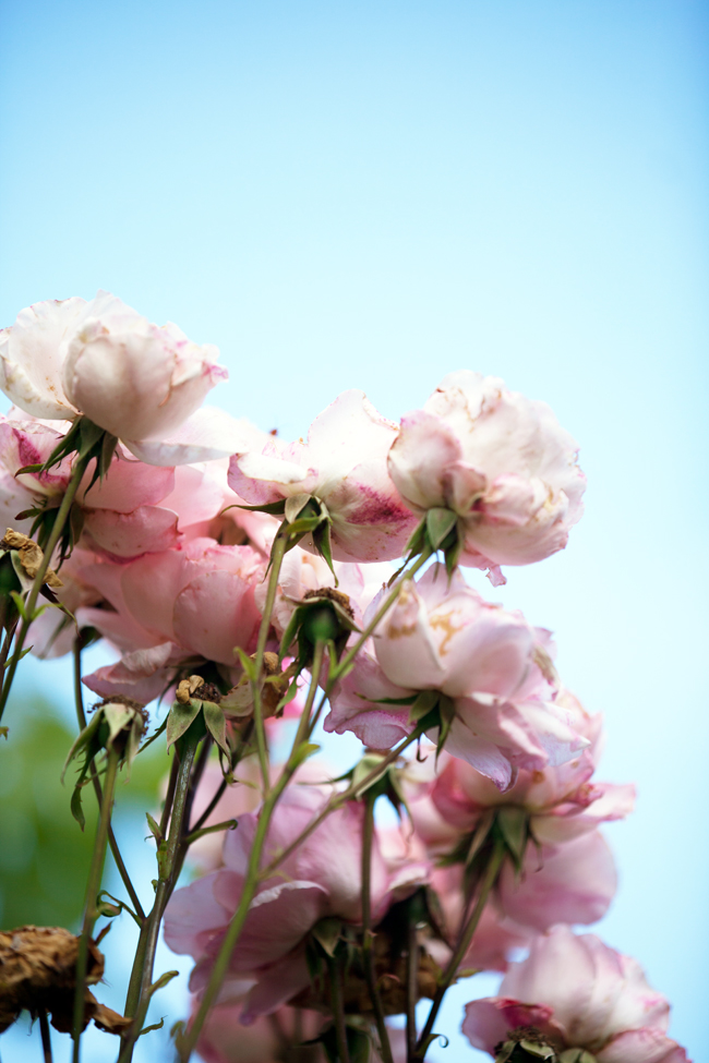 Summer in the Basque Country | Cannelle et Vanille