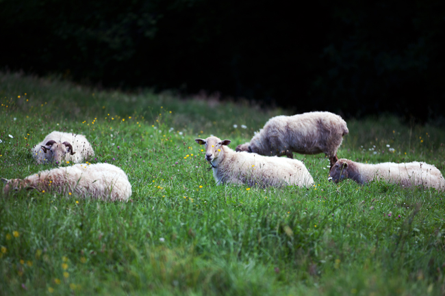 Summer in the Basque Country | Cannelle et Vanille