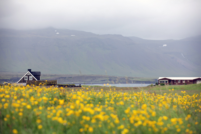 Iceland by Aran Goyoaga | Cannelle et Vanille