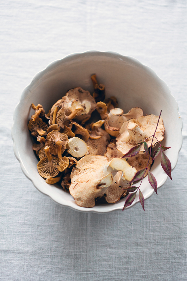 A guide to mushroom foraging | Cannelle et Vanille