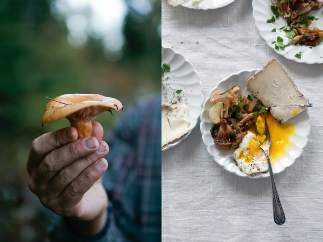 A guide to mushroom foraging | Cannelle et Vanille