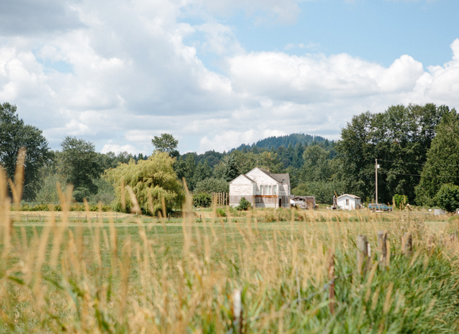 Werkhoven dairy farm, WA 