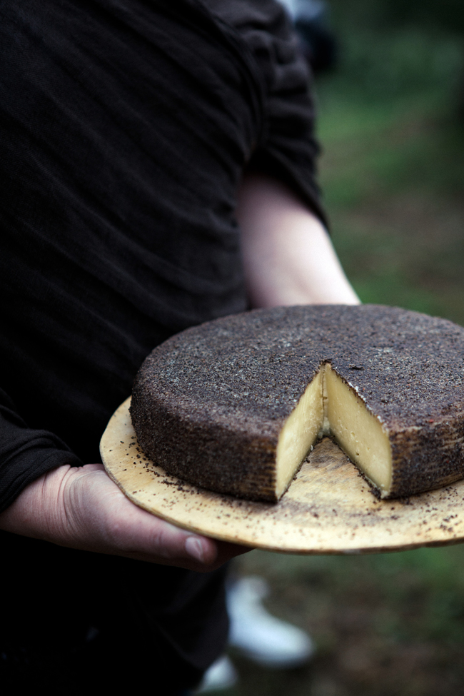 Support this Tuscan cheesemaker's farm | Cannelle et Vanille