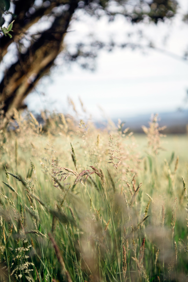 Food styling & photography workshop in Australia with Aran Goyoaga | Cannelle et Vanille