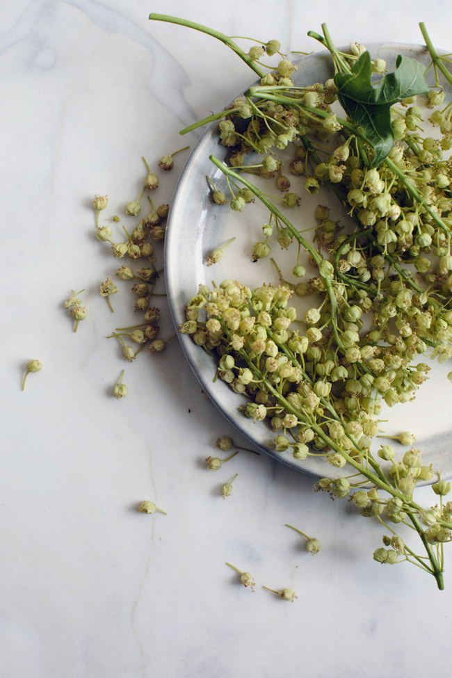 Maple blossom fritters by The Pantry | Cannelle et Vanille